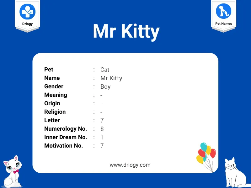 Mr Kitty Name Meaning